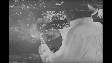 ALÓWAN "Let it Flow" (Official Video)