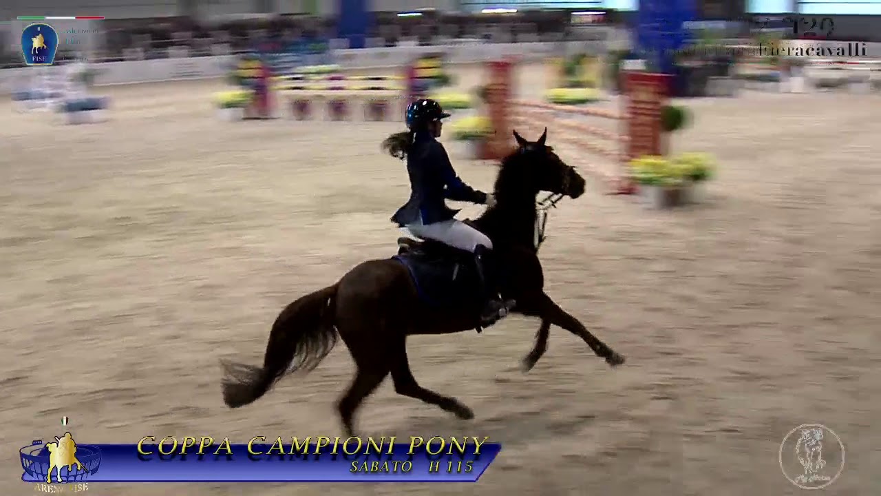 ZOE TOMASSINI FINALE COPPA CAMPIONI PONY FIERA CAVALLI VERONA 2018