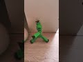 bern green bot no don't
