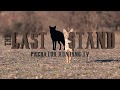 A Kansas bobcat and some late season coyotes!  The Last Stand S2-E8