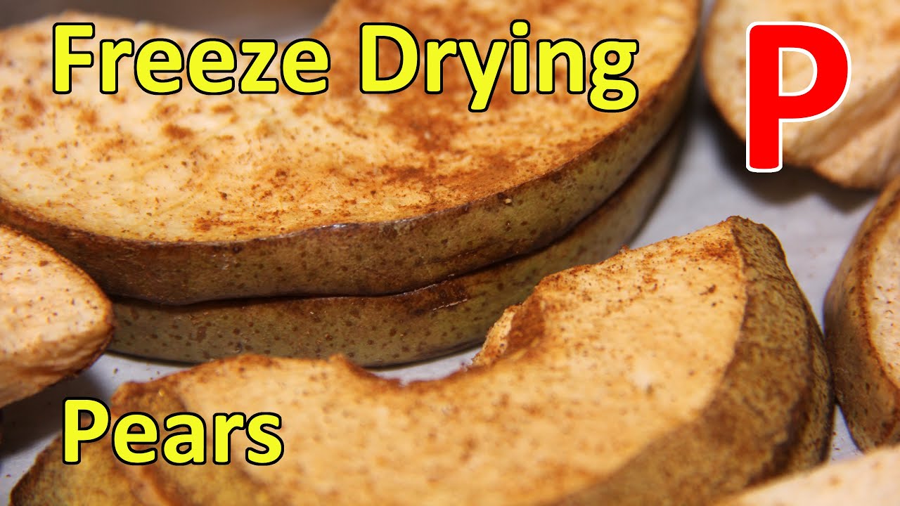 Freeze drying pear slices with cinnamon YouTube