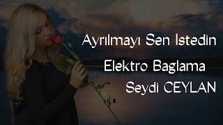 Sen Istedin - Seydi Ceylan (Elektro Bağlama) Resimi