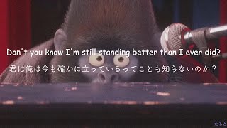 【和訳】I'm still standing - Taron Egerton