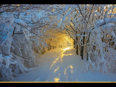 WINTER FAIRYLAND