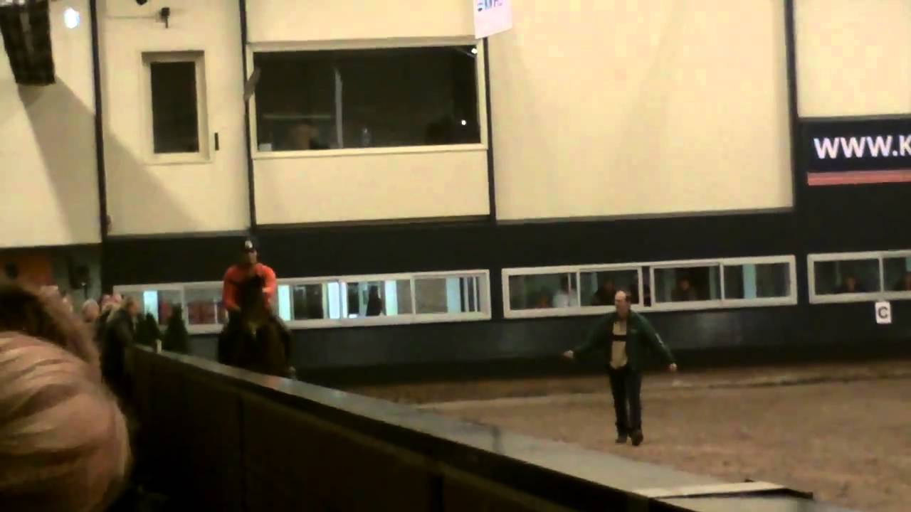 Gert van het Hoff Ermelo 18 feb. 2011 inrijden paard 1 (1).MOV