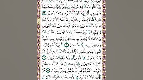 صفحة( ٥ ) القرآن الكريم سورة البقرة الشيخ محمد صديق المنشاوي