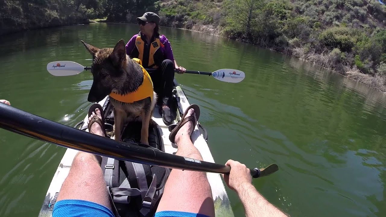 Sunday April 19th 2015 - Teaching our dog Venus how to kayak