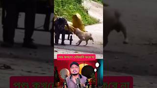 The dog couldn't stay still after seeing its elderly owner struggling. This is what true love loo... The dog couldn't stay still after seeing its elderly owner struggling. This is what true love loo...