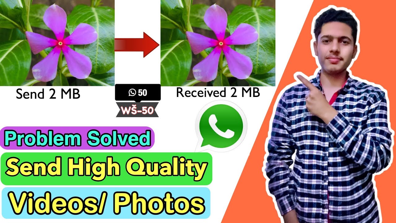 How to Send Pictures And Videos on WhatsApp Without Losing Quality