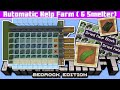 Minecraft Bedrock - AUTOMATIC KELP FARM &amp; SMELTER ( Tutorial ) MCPE,Xbox,PS4,Windows,Switch