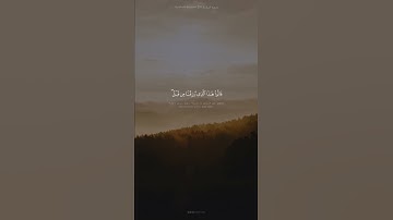 ﴿وبشر الذين آمنوا وعملوا الصالحات أن لهم جنات تجري من تحتها الأنهار﴾ القارئ إسلام صبحي