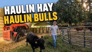 Haulin' bulls and haulin’ hay