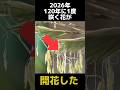 2026年120年に1度咲く花が開花する奇跡