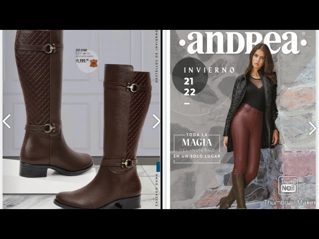 Catálogo Andrea INVIERNO 2022 Zapatos Andrea 2021 - YouTube