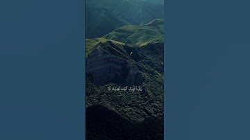 ﴿أَفَلَا يَنْظُرُونَ إِلَى الْإِبِلِ كَيْفَ خُلِقَتْ﴾ #قرآن_كريم سوره الغاشيه