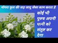 Psychology fact video 113 health speech Study motivational in hindi/मोंगरा फूल की जड़ के फ़ायदे//