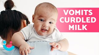 My Baby Vomits Curdled Milk Is It Normal? What Should I Do?