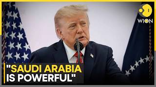 Can MBS Take on the Houthis Without American Military Support | WION News
