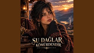 Şu Dağlar Kömürdendir