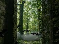 ⚡ They Ignored the Warning… Then Nature Reacted 😳🌿 | Green Man EP2 #shorts #shortsfeed #subscribe