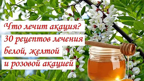 Что лечит акация 30 рецептов лечения белой, желтой и розовой акацией