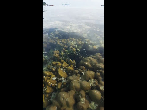 หาดหน้าที่พัก เบลล่าวิสต้า