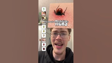 Rangschikking van de meest vervelende bugs