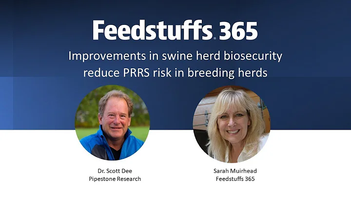 Improvements in swine herd biosecurity reduce PRRS risk in breeding herds