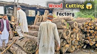 Amazing modern Wood Cutting sawmill processing Technology | Kashi Tricks