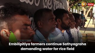 Embilipitiya farmers continue Sathyagraha demanding water for paddy fields