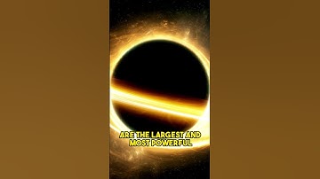 The Puzzle of Black Hole Formation: From the First Second of the Big Bang to the Center of Galaxies