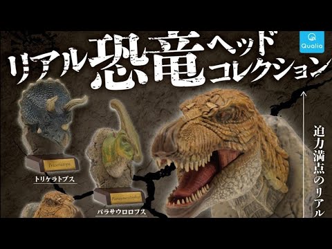 Real Dinosaur Head Collection