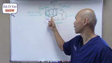 How to Improve Frontal Lobe Function