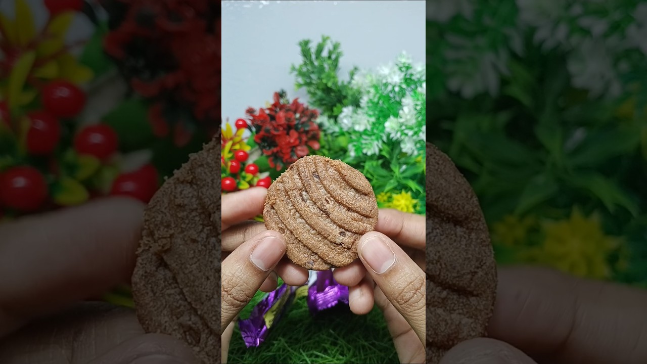 Good Day Chocolate Cookie Biscuit🍪 