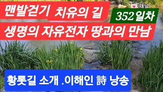 맨발걷기 치유의 352일차 생명의 자유전자와 접지 달빛소나타 피아노 꽃 황토길과 함께 이해인 詩 낭송 #행복…