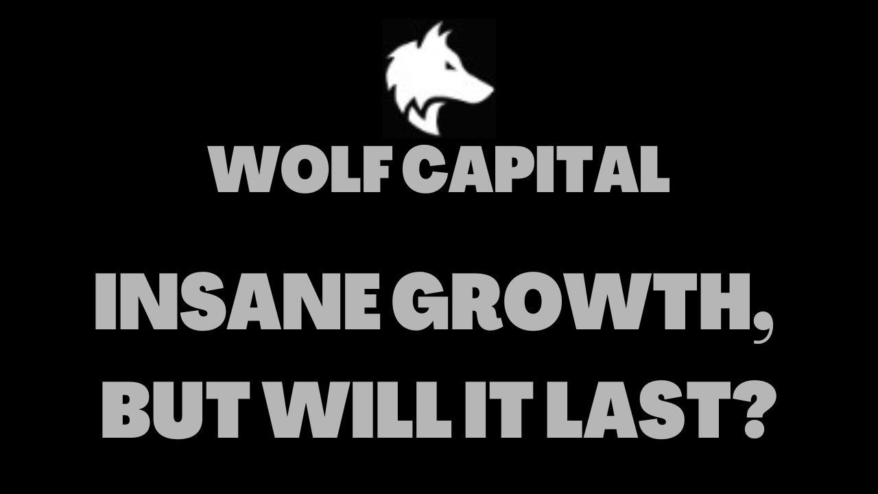WOLF CAPITAL - CAN THE BOTS SUSTAIN IT IN THE LONG RUN? | CRYPTO DEFI 2023