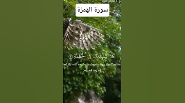 سورة الهمزة فارس عباد