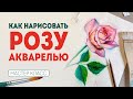 КАК НАРИСОВАТЬ РОЗУ? Цветы акварелью - мастер класс по рисованию.