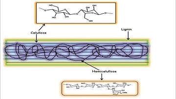 Aspen Plus. Biomass to X. Part 1: Slow Pyrolysis of Biomass, Product Composition Prediction Model