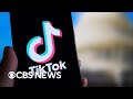 TikTok points out lawmakers&#39; hypocrisy in legal filing