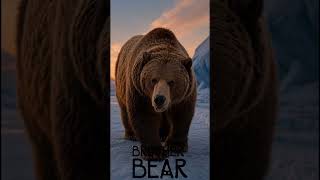 Irmãos urso na vida real 🐻 #ia #antesedepois #animation #urso