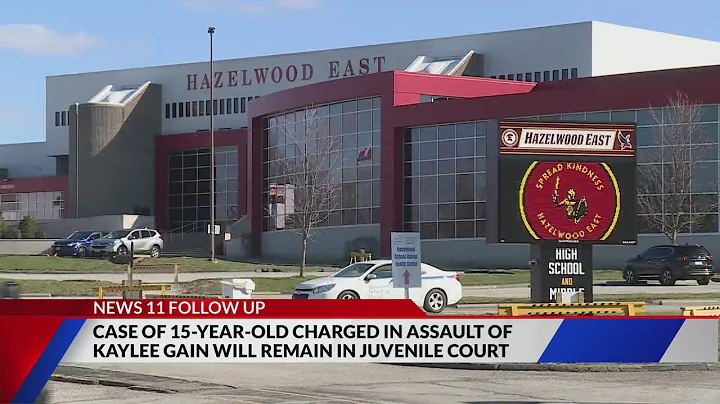 No adult charges for teen accused in viral fight near Hazelwood East, judge rules - DayDayNews