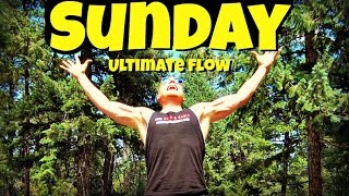 Day 7 - Best Full Body Yoga | 7 Day Yoga Challenge | Sean Vigue Fitness