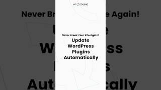 Test WordPress plugin updates instantly without affecting your production website with WP Staging.