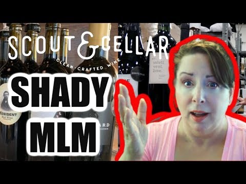 Scout and Cellar Shady Practices Exposed | #AntiMLM