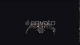 Prairie Falcon - 4K Flying Loop - Back View | Motion Graphics - Envato elements