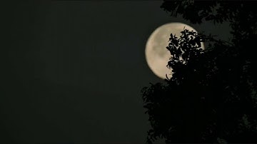 تلاوة خاشعة من صلاة المغرب للقارئ أحمد آدم | الفاتحة - التكاثر - العصر
