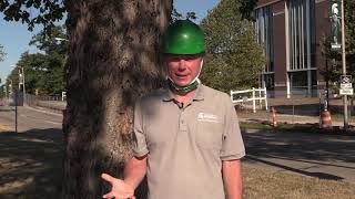 Celebrity STEM Building Tour - Part 1 Wealth