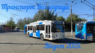 картинка: Транспорт Волгограда. Август 2025.