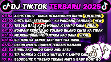 DJ TIKTOK TERBARU 2025🎵DJ AISHITERU 2 - SIKSA MENANGGUNG RINDU🎵DJ CINTA DARI SEBERANG FULL ALBUM